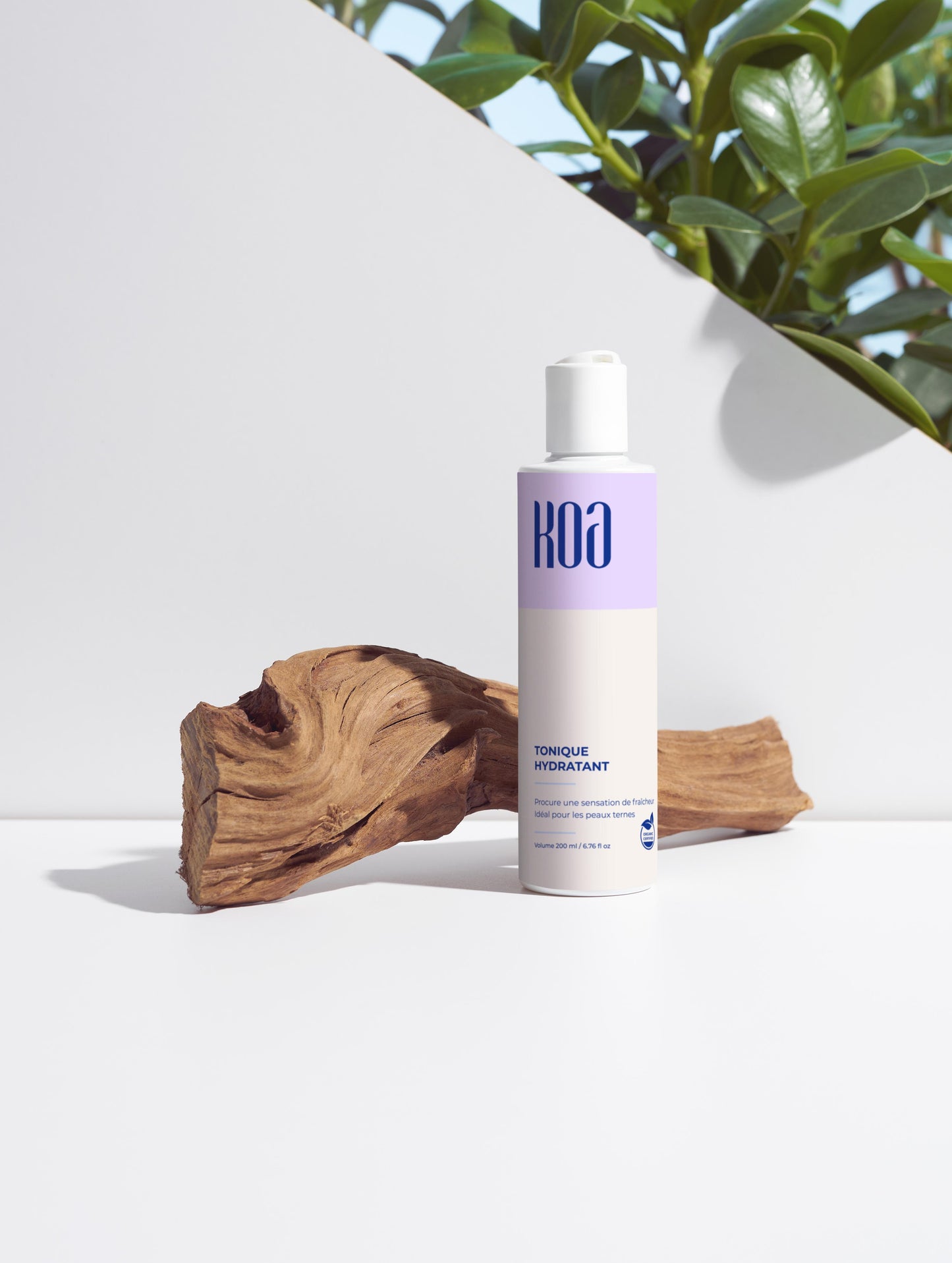 Toner Hydratant